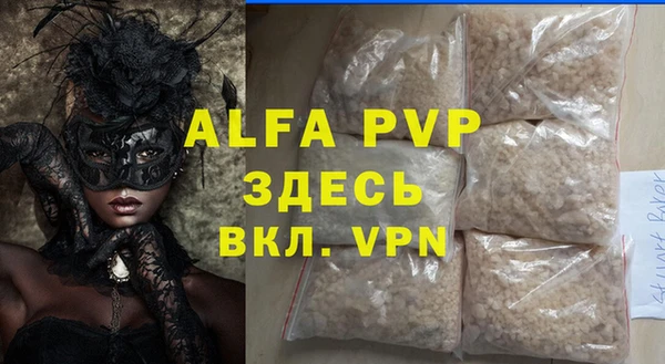 стаф Алзамай