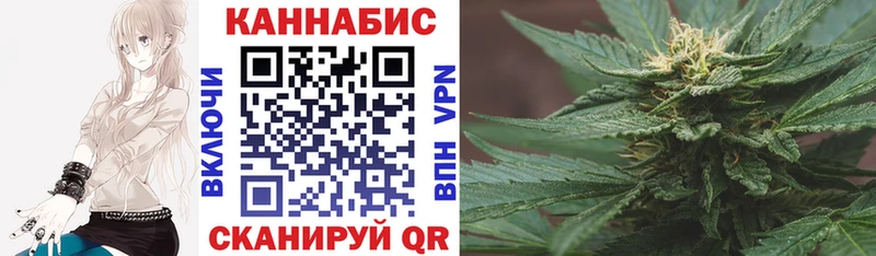 Бошки Шишки Amnesia  как найти   Далматово 